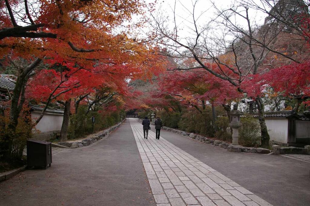 石山寺 紅葉