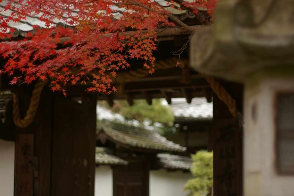 石山寺 紅葉