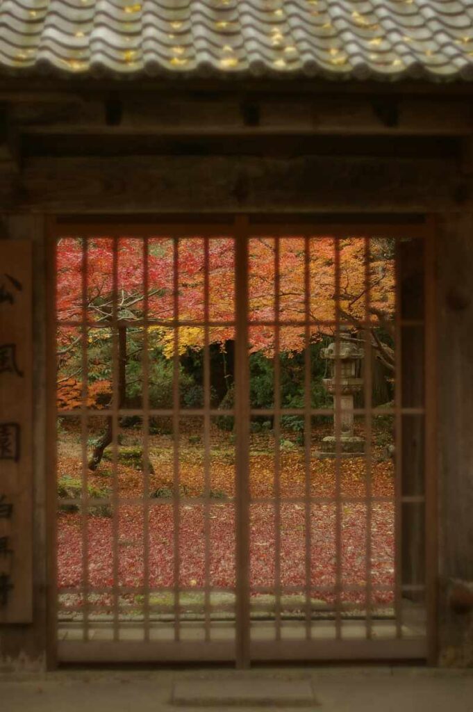 石山寺 紅葉