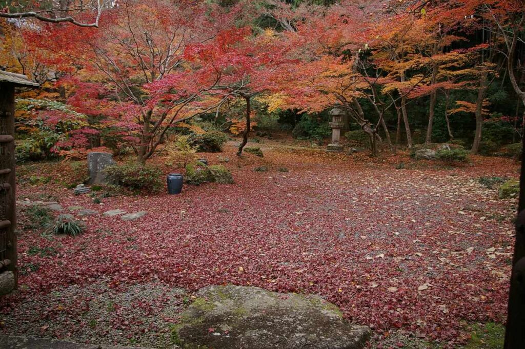 石山寺 紅葉