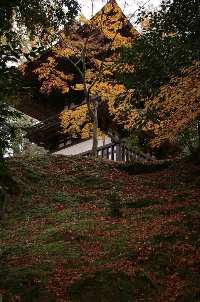 石山寺 紅葉