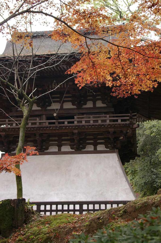 石山寺 紅葉