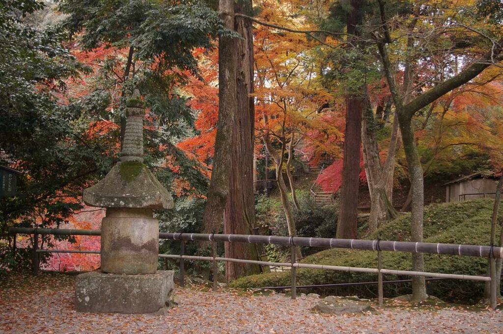 石山寺 紅葉