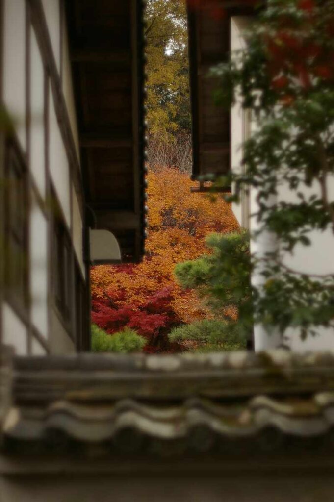 石山寺 紅葉