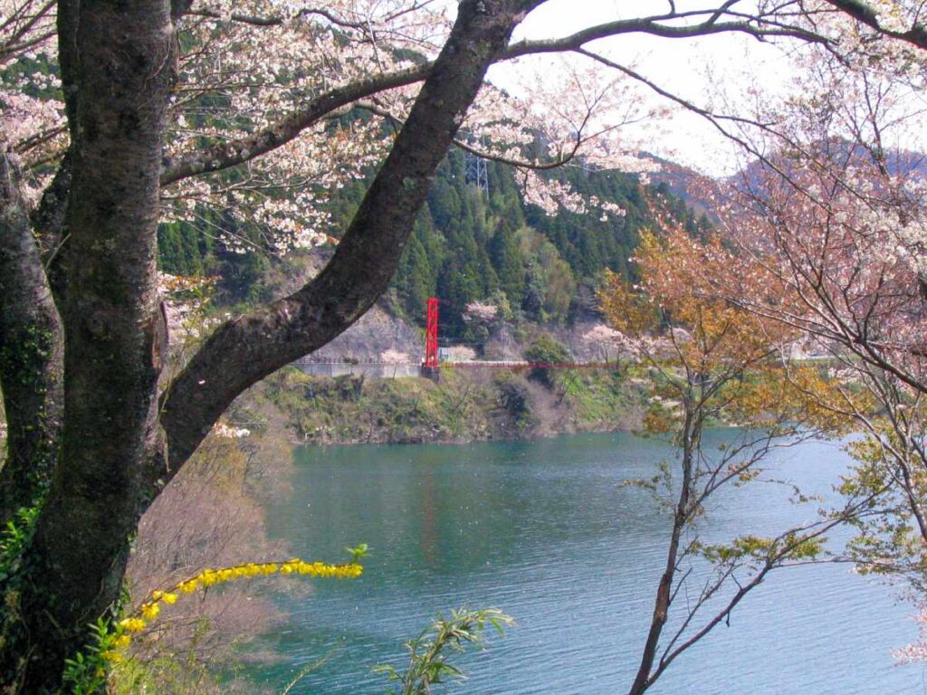 二川ダム湖　蔵王橋