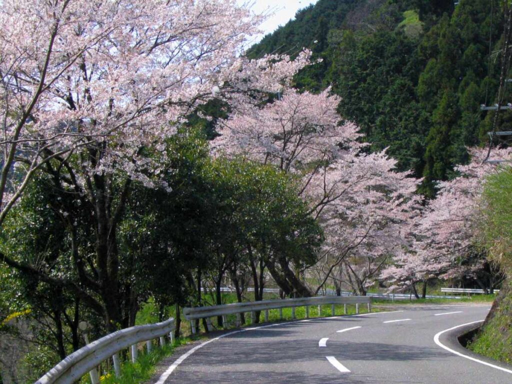 有田川　二川ダム湖