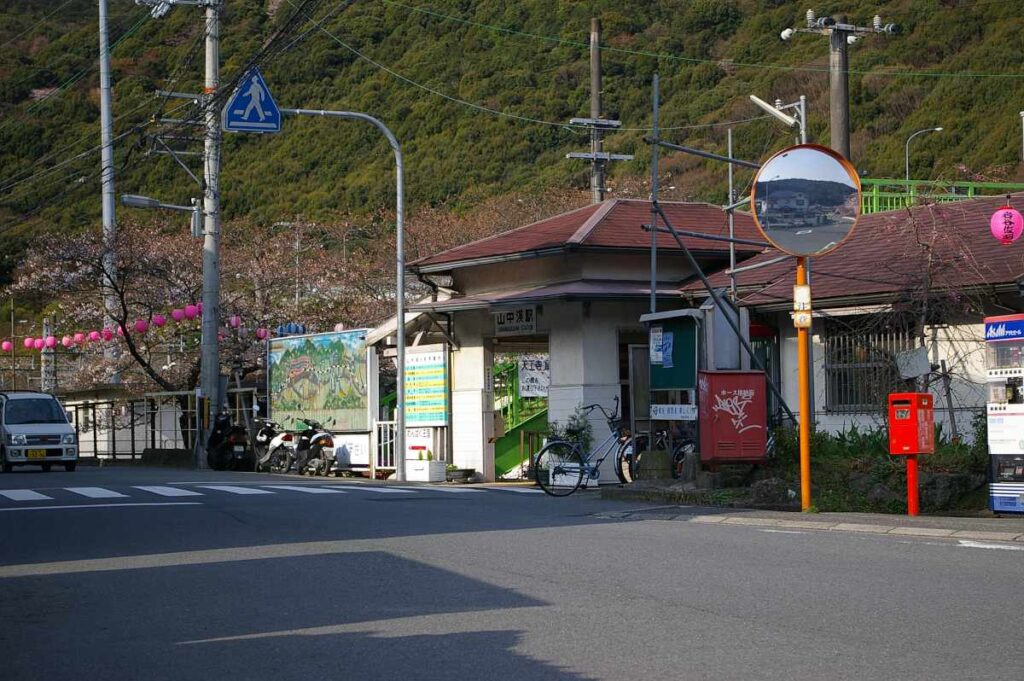 山中渓の桜