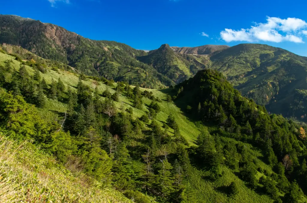 白根山、横手山周辺