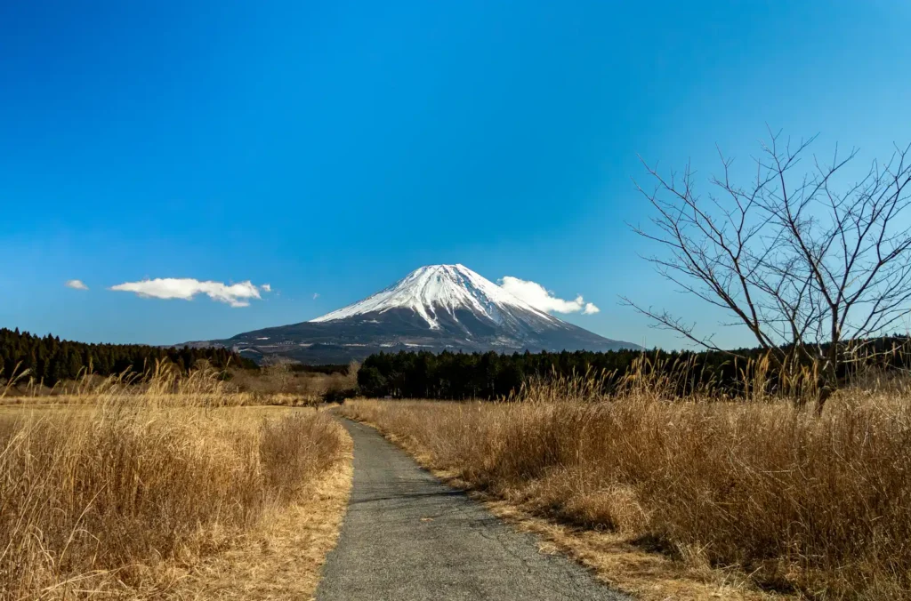 ふもとっぱらキャンプ場横からの富士山