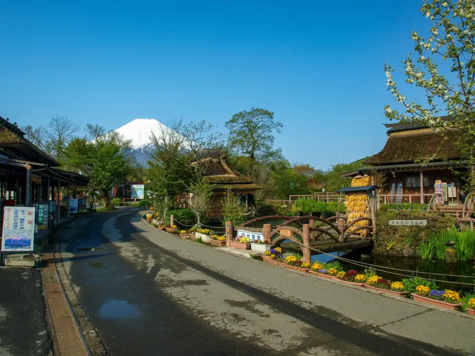 忍野八海から望む富士山