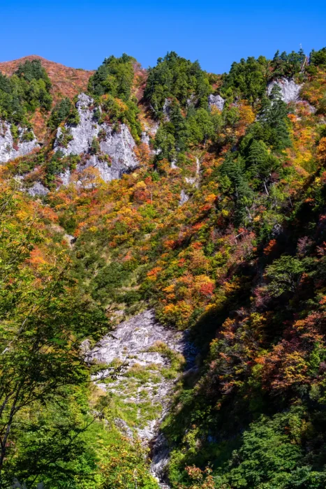 奥志賀~秋山郷 紅葉