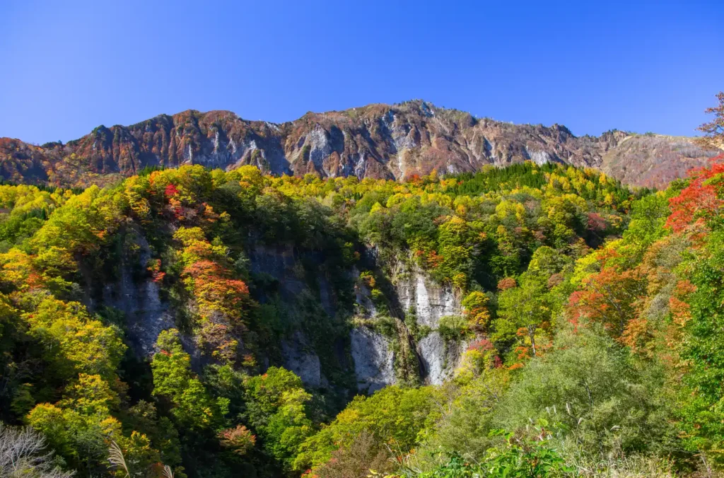 奥志賀~秋山郷 紅葉