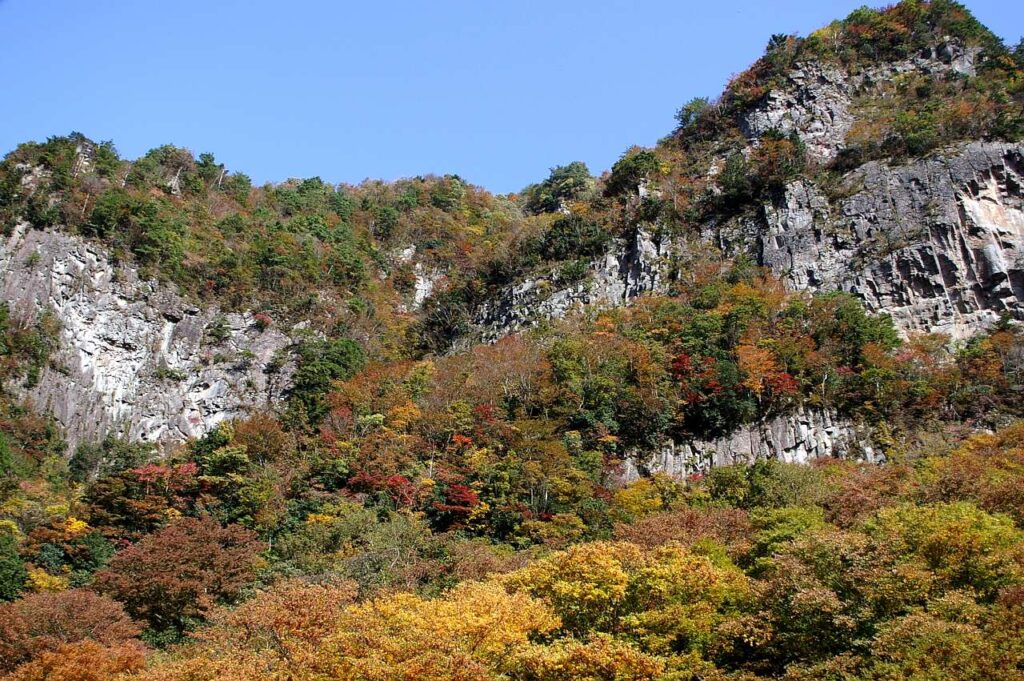 曽爾村 紅葉