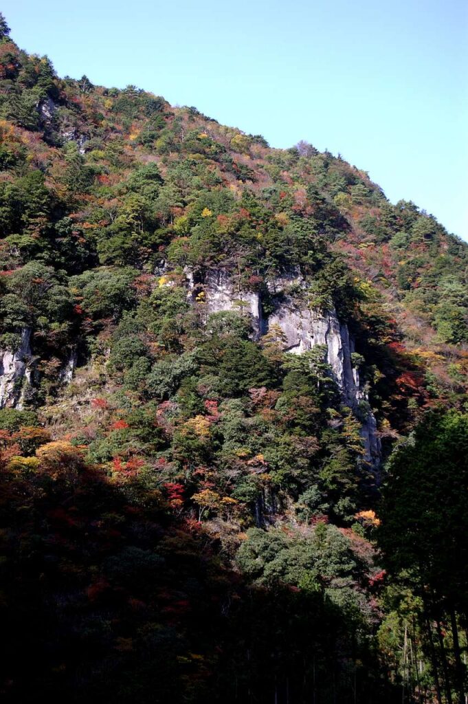 曽爾村 紅葉