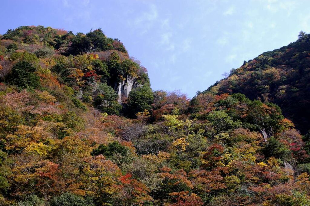 曽爾村 紅葉