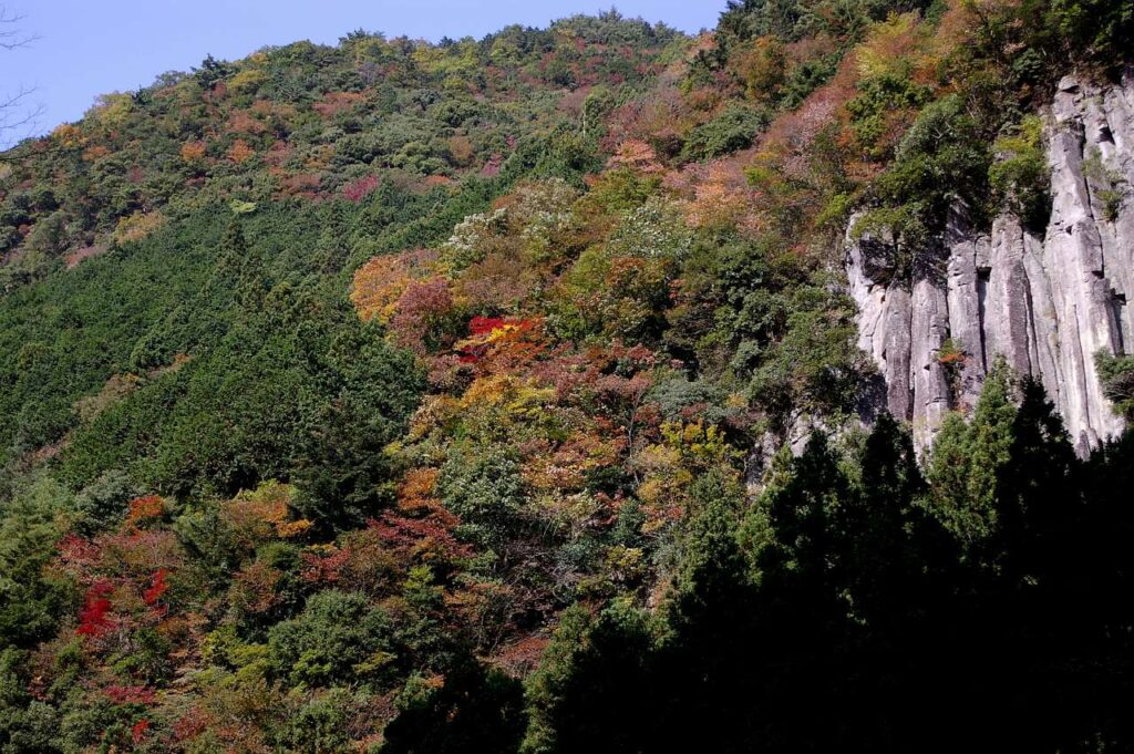 曽爾村 紅葉