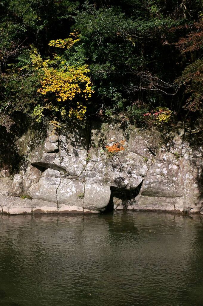 曽爾村 紅葉