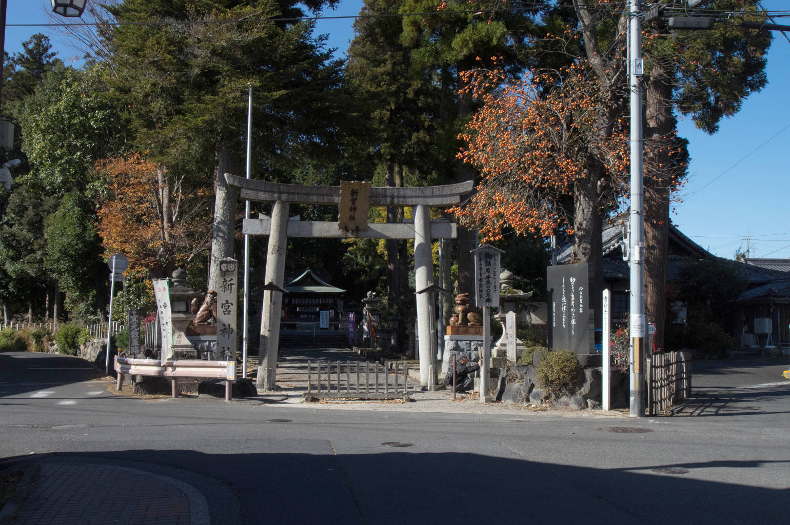 紫香楽一宮 新宮神社の写真画像