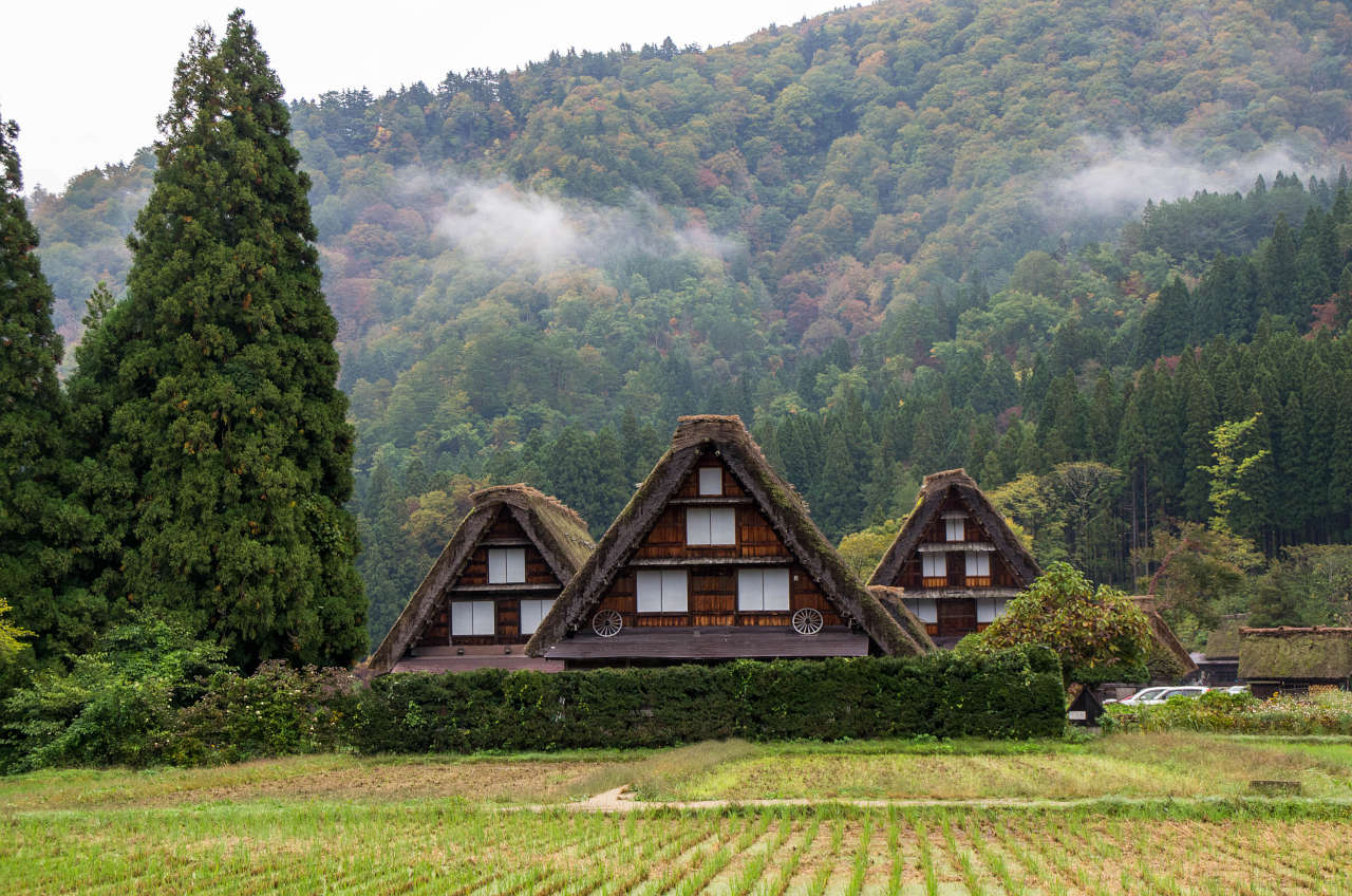 白川郷 茅葺の合掌造りの集落の写真画像