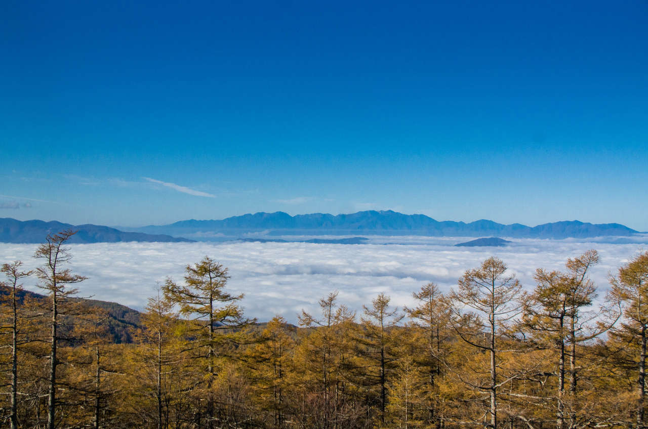 日向木場展望台からの撮影した雲海の写真