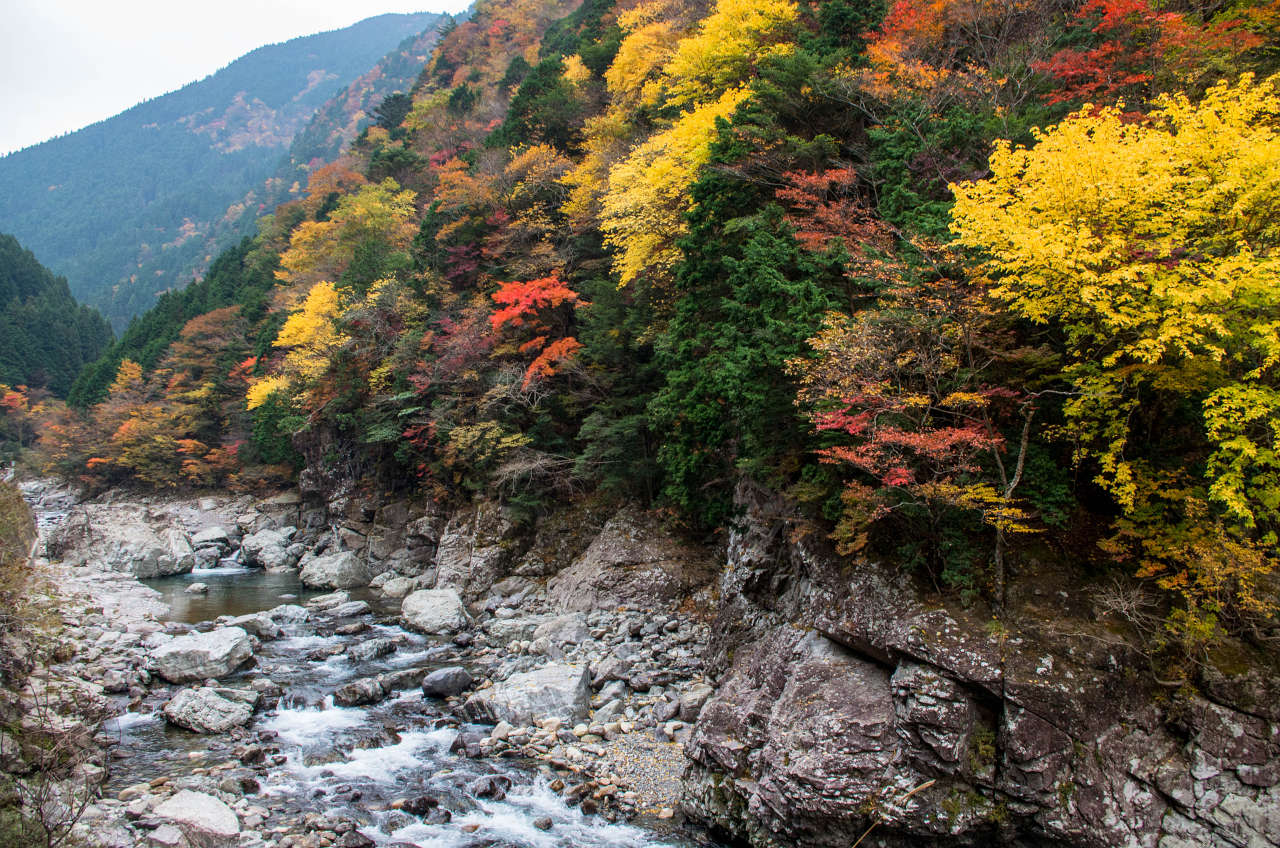天の川沿いの紅葉の写真