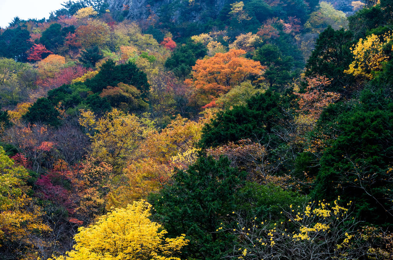 天の川沿いの山の紅葉