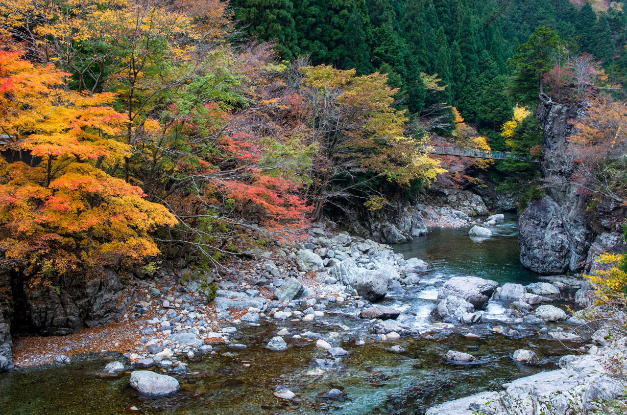 天の川の紅葉