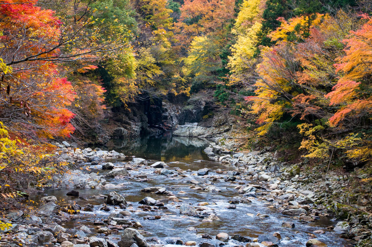 天の川の紅葉