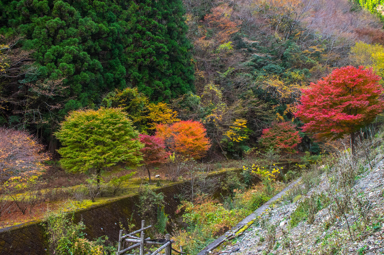 上北山村ナメゴ谷