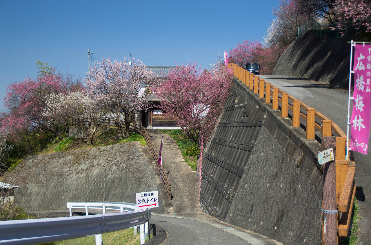 広橋梅林