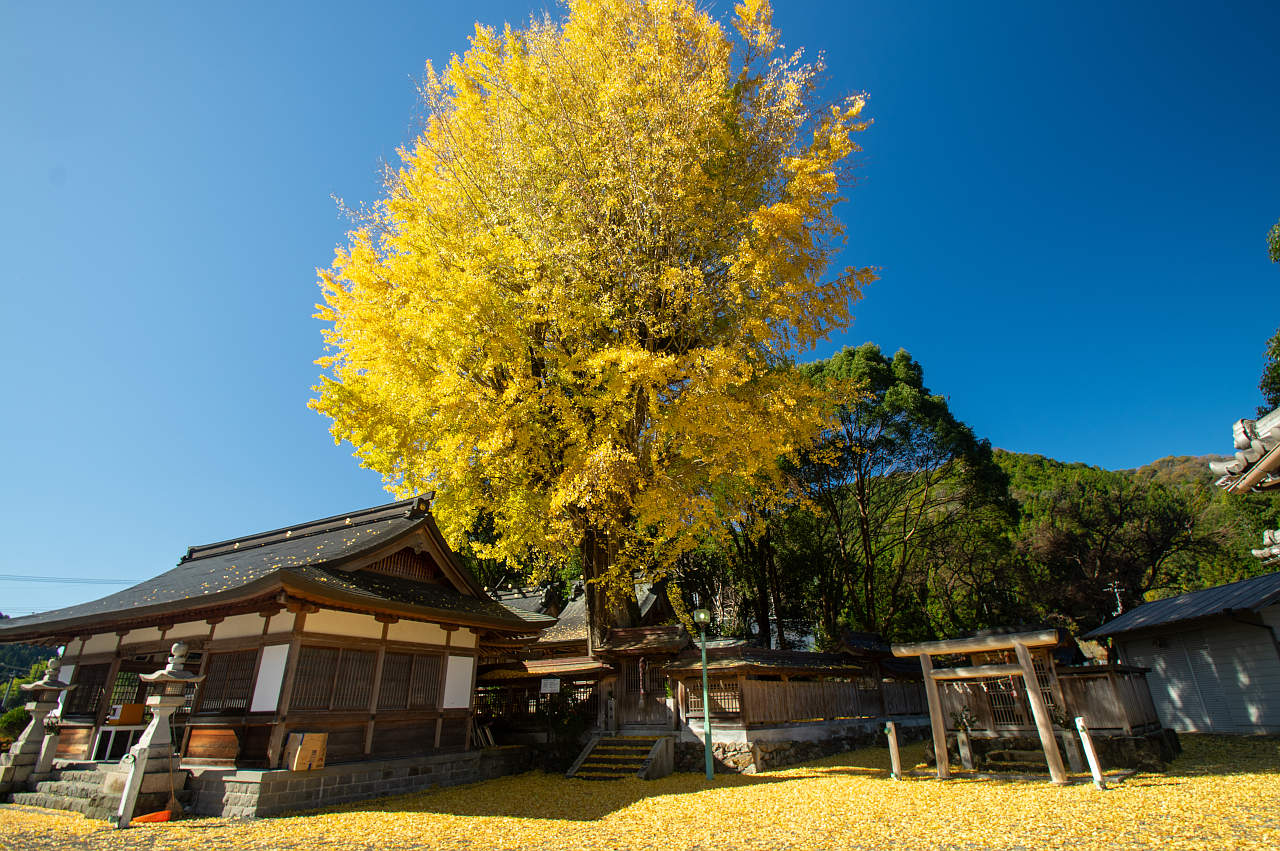 長谷丹生神社