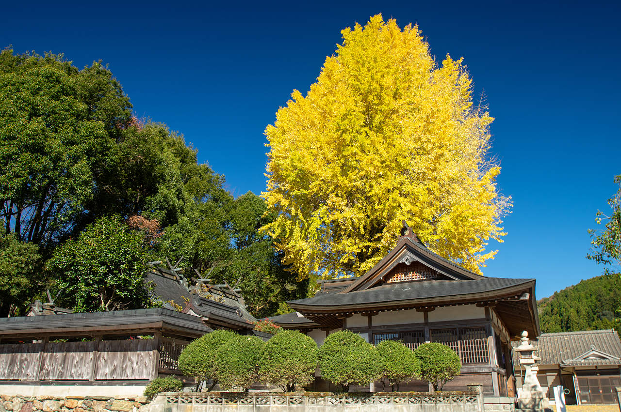 長谷丹生神社