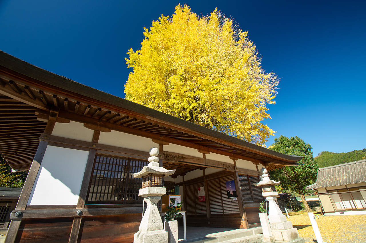 長谷丹生神社