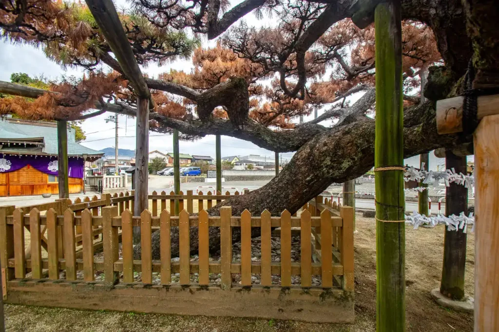 名古曽蛭子神社(名古曽えびす)