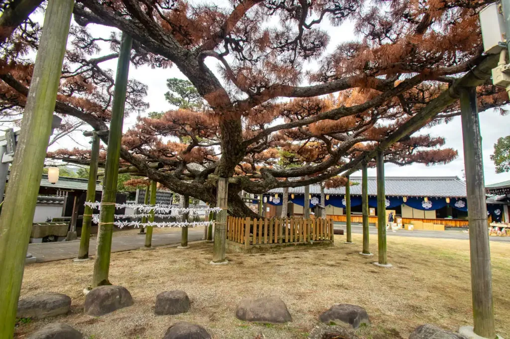 名古曽蛭子神社(名古曽えびす)