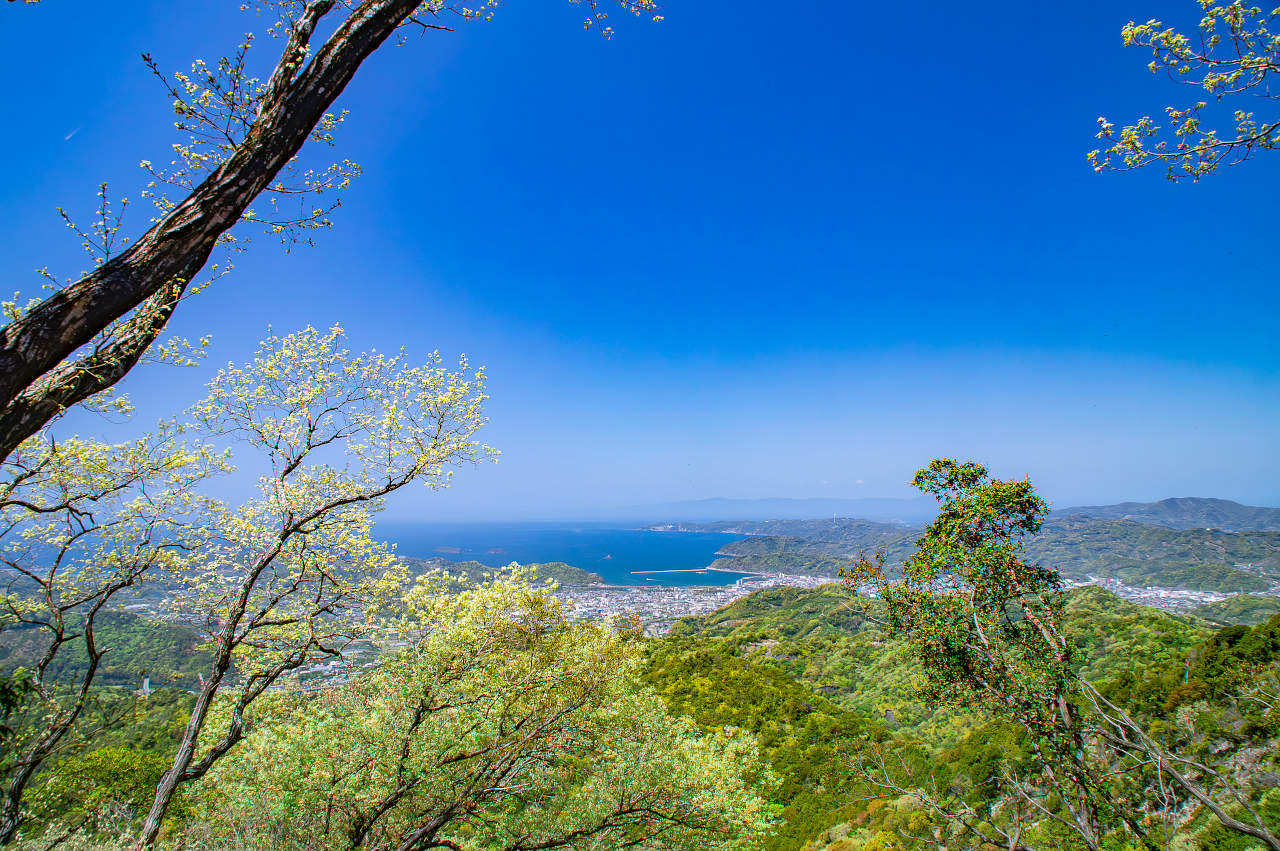 湯浅町山田山