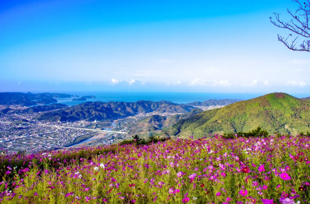 鷲ヶ峰コスモスパーク