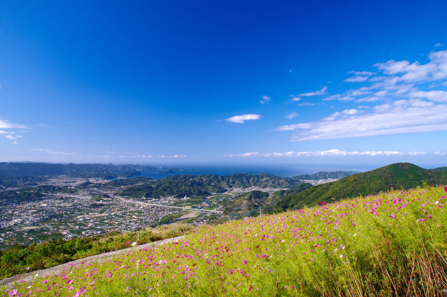 鷲ヶ峰コスモスパーク