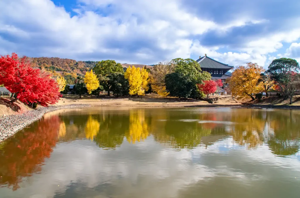 秋の奈良公園