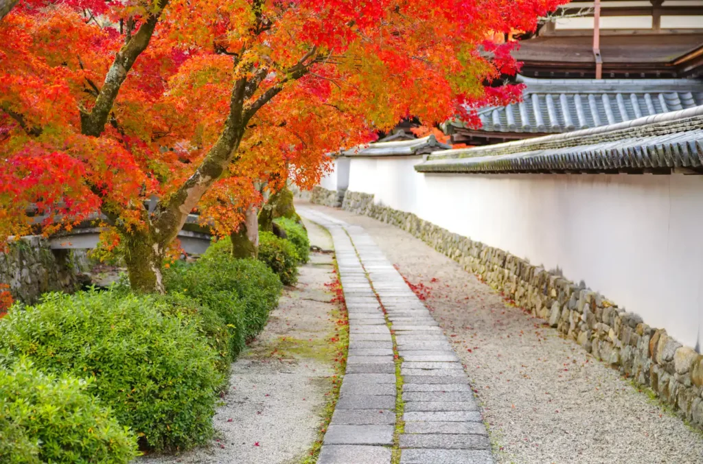天野山金剛寺