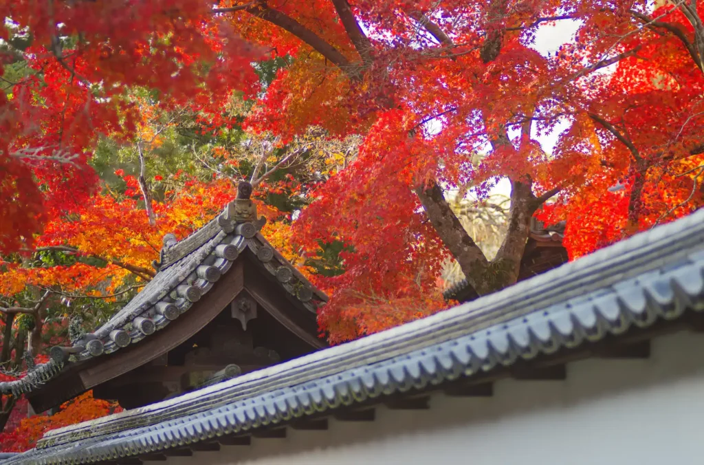 天野山金剛寺