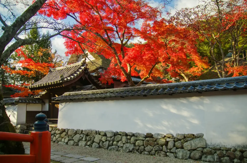 天野山金剛寺