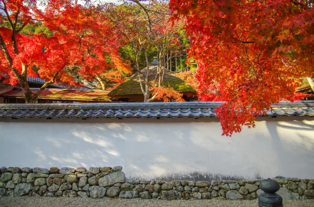 天野山金剛寺