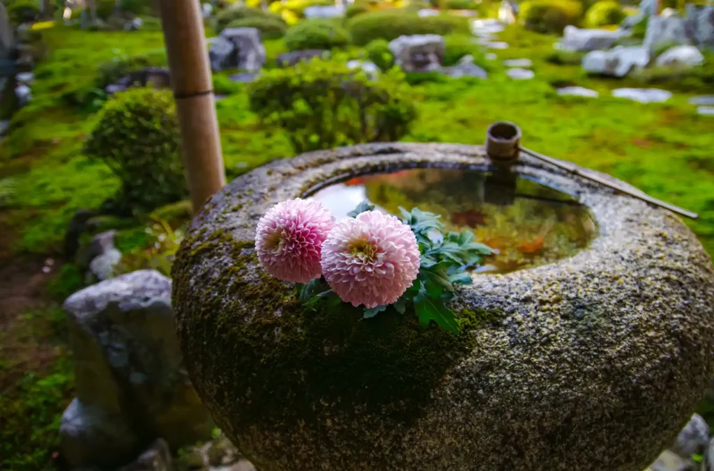 天野山金剛寺
