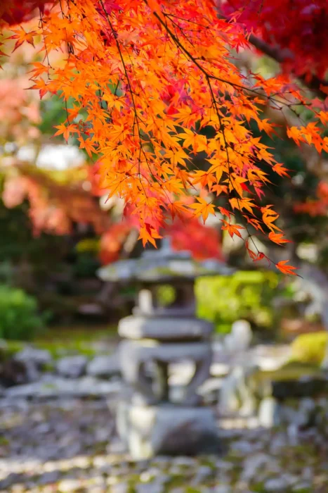 天野山金剛寺