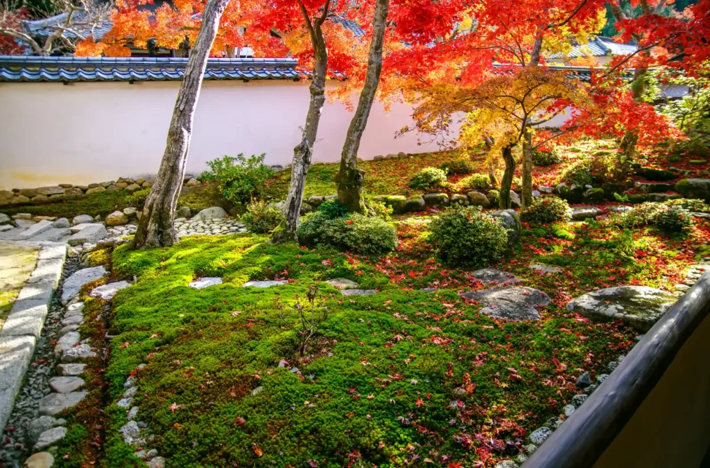 天野山金剛寺