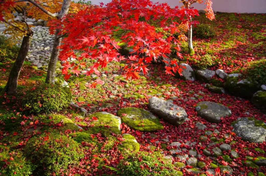 天野山金剛寺