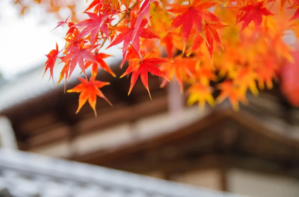 天野山金剛寺
