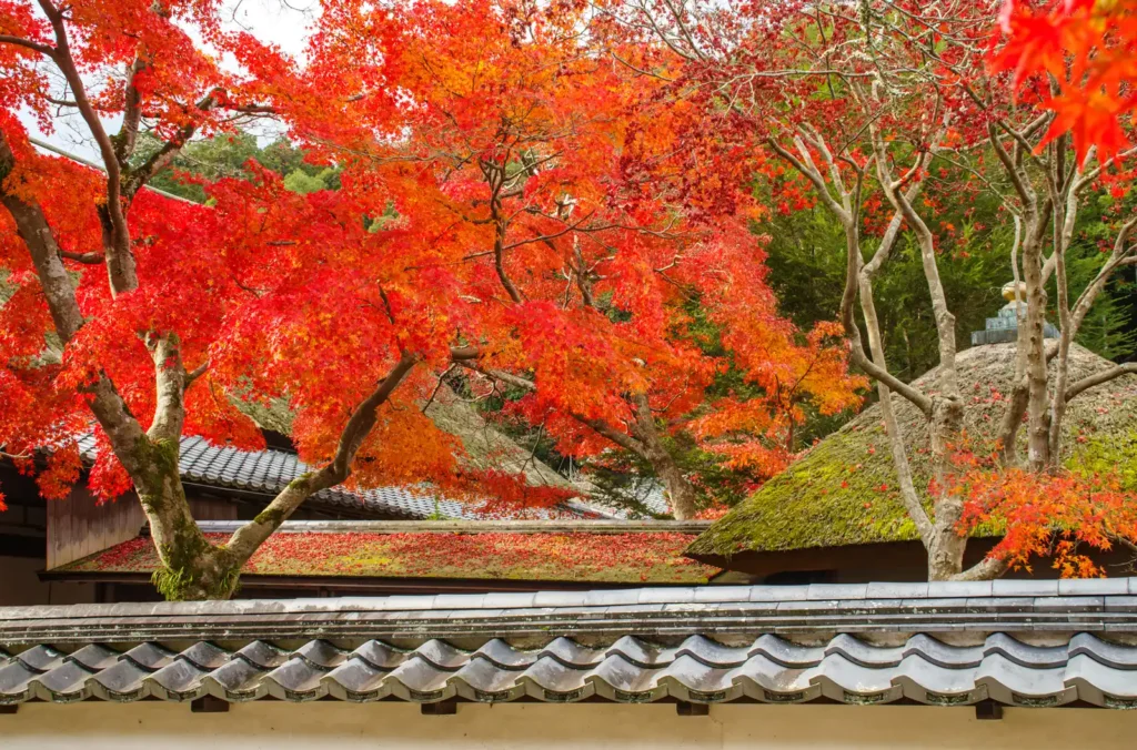 天野山金剛寺