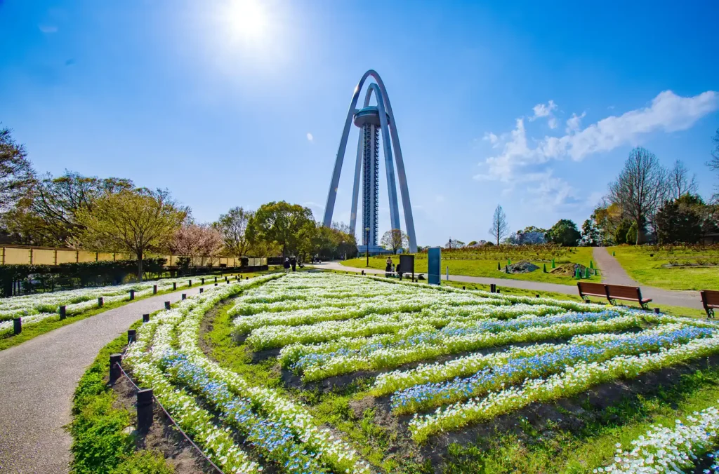 国営木曽三川公園 138タワーパーク、ネモフィラ